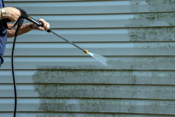 Best Roof Washing  in Westwood, NJ